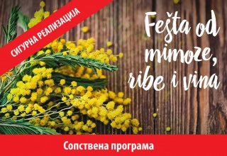 ФЕСТИВАЛ НА МИМОЗИТЕ ВО ХЕРЦЕГ НОВИ